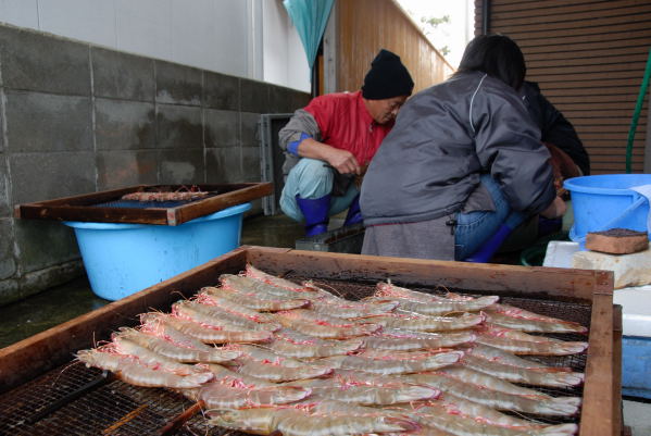 焼き海老_f0114156_0513340.jpg