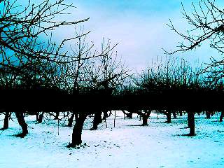 f0104457_395822.jpg