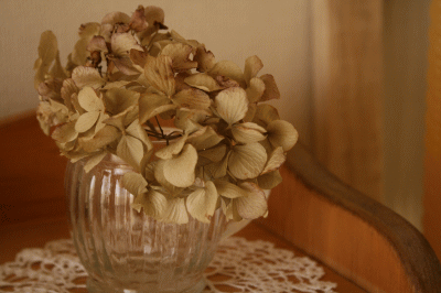 d0100192_20254935.gif