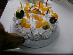 d0046905_9534435.jpg