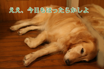 e0072606_21593429.jpg
