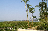 f0116707_11335879.jpg