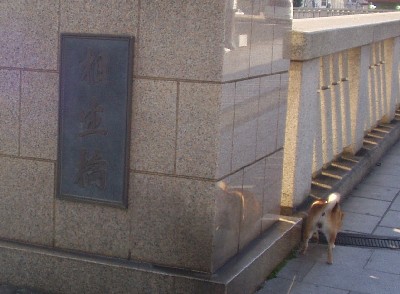 f0004309_21323829.jpg