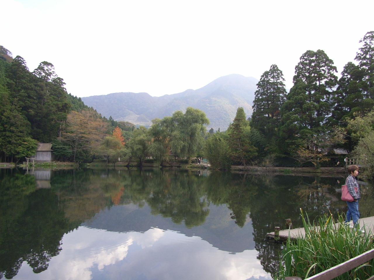 f0056412_15292737.jpg