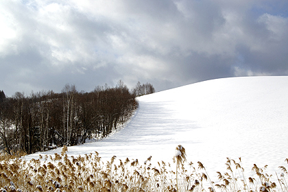 c0033513_17284220.jpg