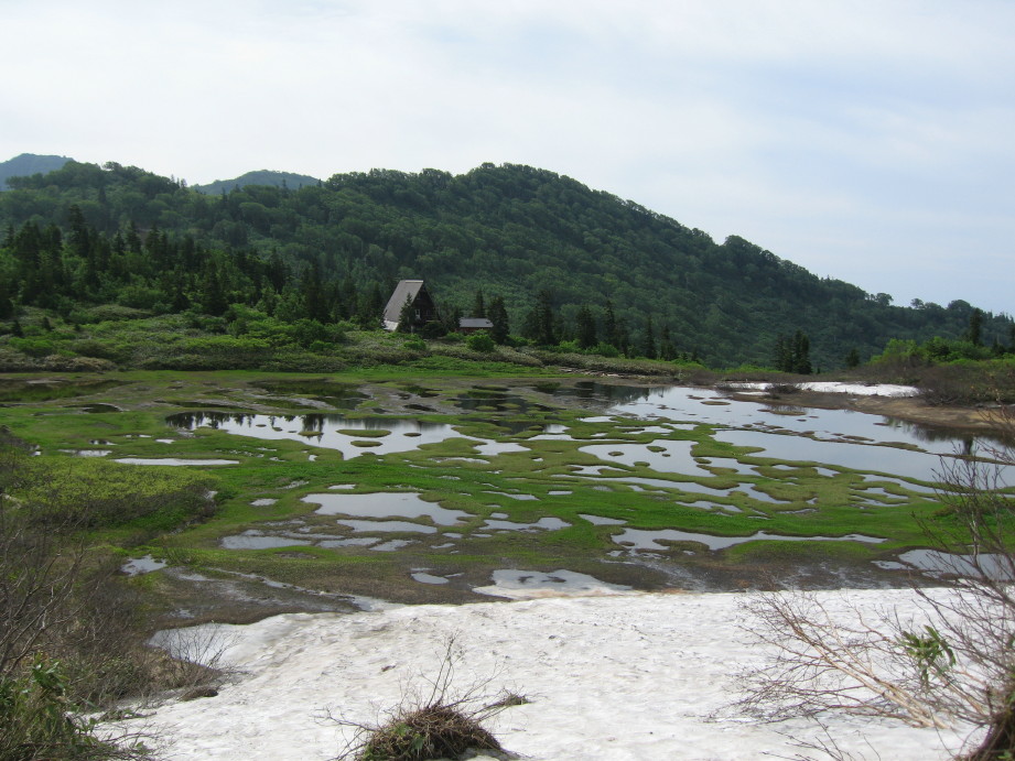 d0103314_0294938.jpg