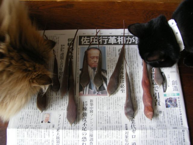 忘年会_c0025115_2302747.jpg