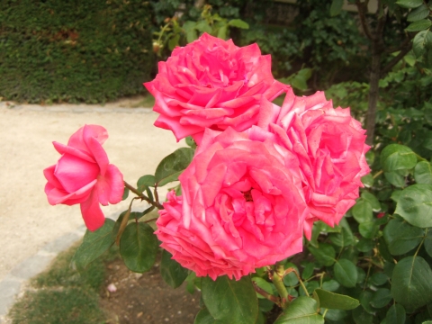 c0069619_0163736.jpg