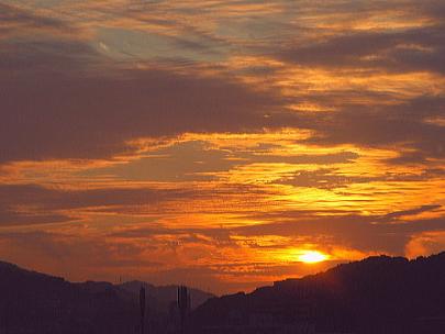 f0092320_1611103.jpg