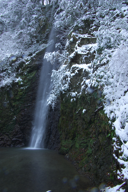 c0057221_12234222.jpg