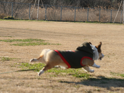 e0071225_256377.jpg