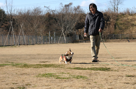 皆さま、今年もどうもありがとうございました♪_e0071225_2584816.jpg