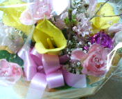 f0085327_751497.jpg