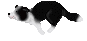 d0059230_9472968.gif