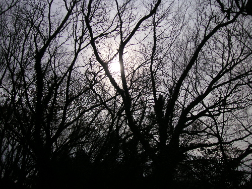 大晦日、2006年12月31日_c0048132_13134851.jpg