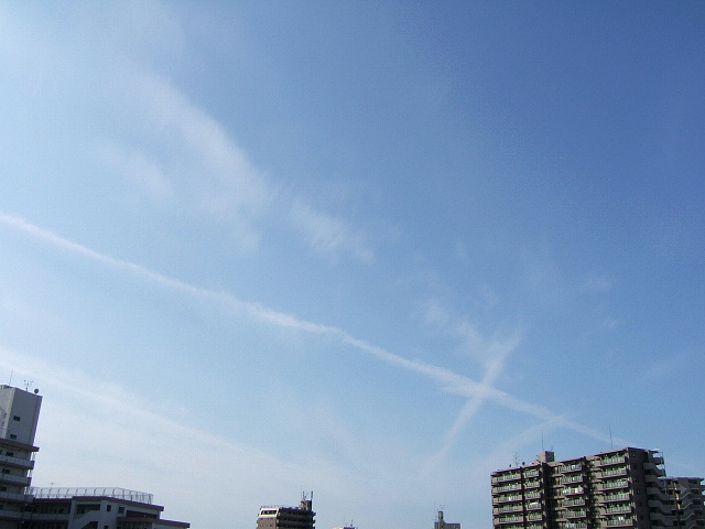 e0089232_1648625.jpg
