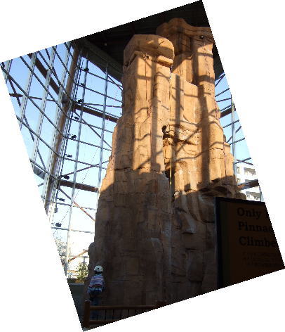 c0023545_222125.jpg