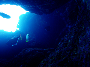 d0065247_21532586.jpg