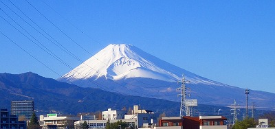 今年もあと一日_c0087349_5485222.jpg