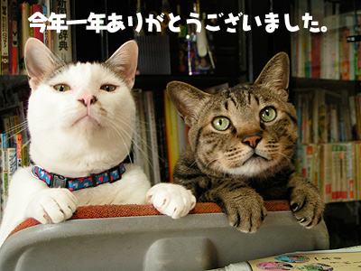 2006年ありがとうございまいた!_a0028451_19405442.jpg