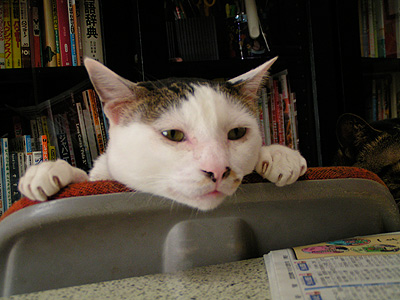 2006年ありがとうございまいた!_a0028451_1942096.jpg