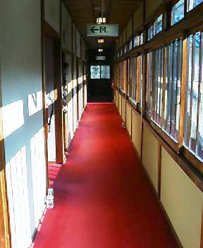 d0083265_16145298.jpg