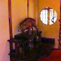 d0083265_16252416.jpg