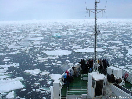 f0050468_10201284.jpg