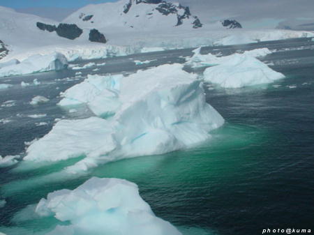 f0050468_10204990.jpg
