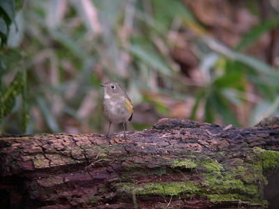 c0002874_17253777.jpg
