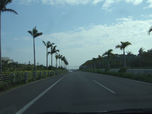 a0040879_16383911.jpg