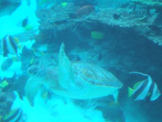 a0040879_17485.jpg