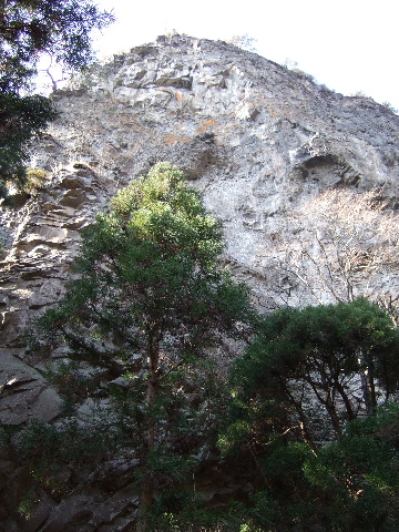 a0094280_95562.jpg