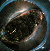 a0087691_07185.jpg
