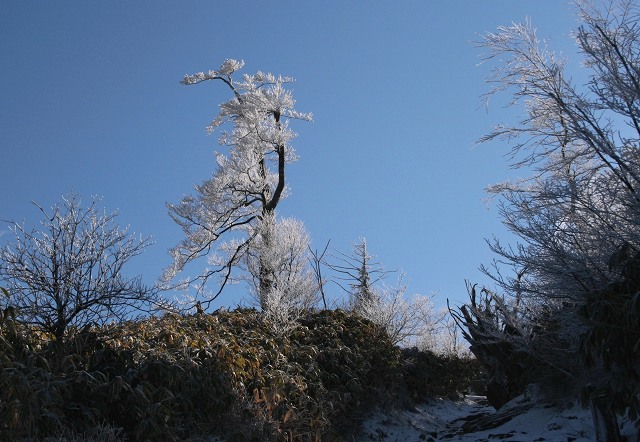 2006.12.30　御用納め（英彦山）_d0076192_0151522.jpg