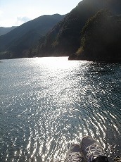 e0049409_21145657.jpg