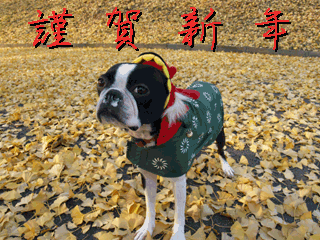 e0080117_055011.gif