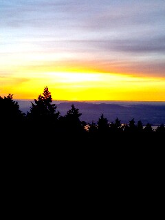 e0101217_1358124.jpg