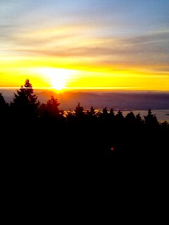 e0101217_14112279.jpg