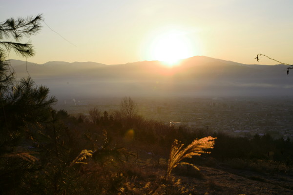 c0013922_12561068.jpg