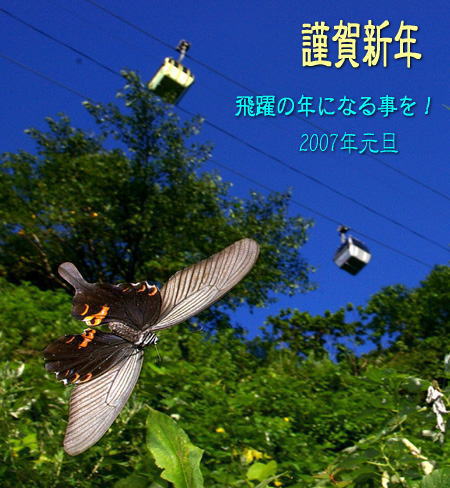 d0090322_8561635.jpg