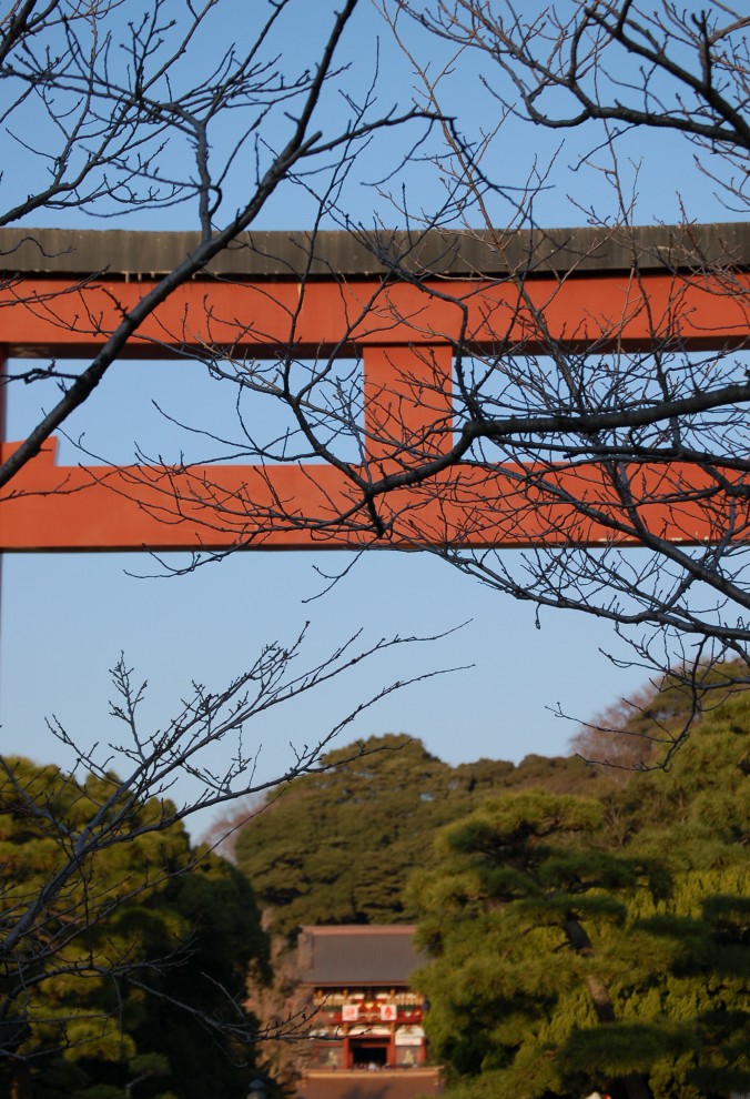 e0107030_94472.jpg