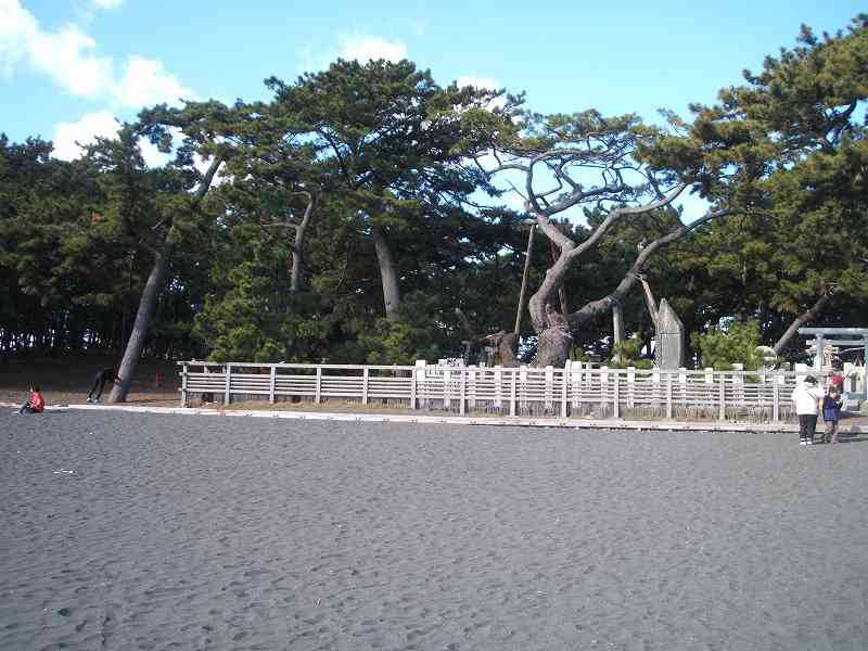 a0006033_1422641.jpg