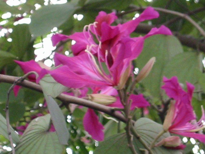 e0026744_22213699.jpg