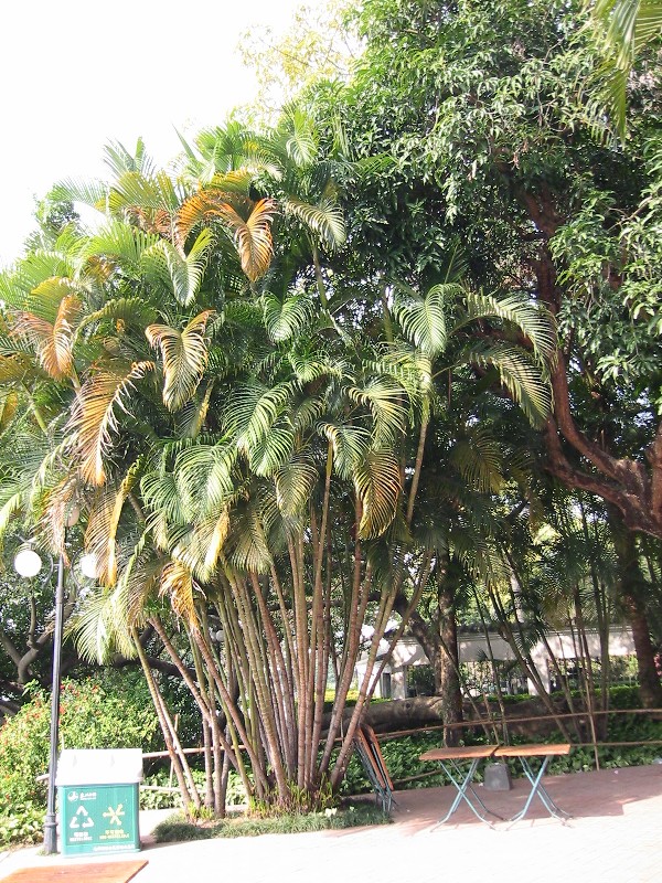 e0026744_22221340.jpg