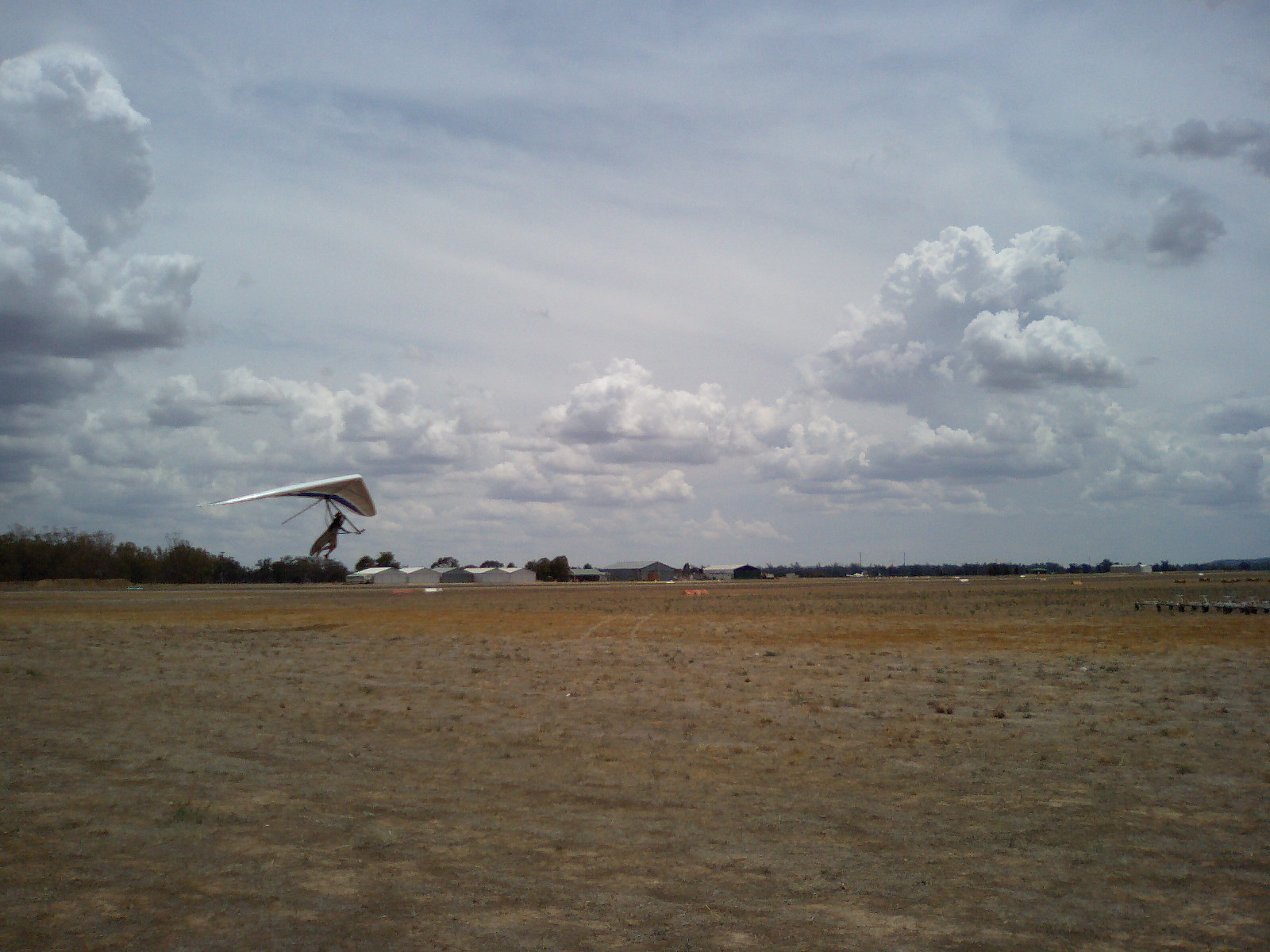 a0012449_1622529.jpg