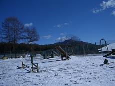 b0098660_20425559.jpg