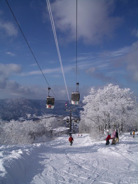 d0010065_22212810.jpg