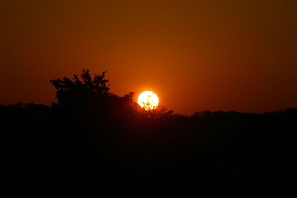 c0007169_8343227.jpg