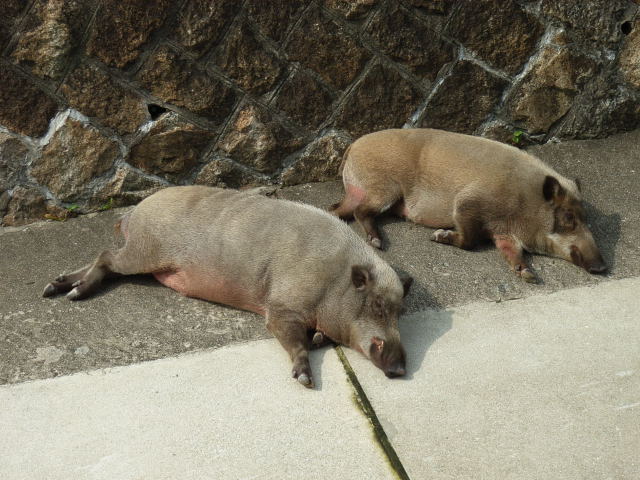 行った年、来た年_c0084173_1656837.jpg